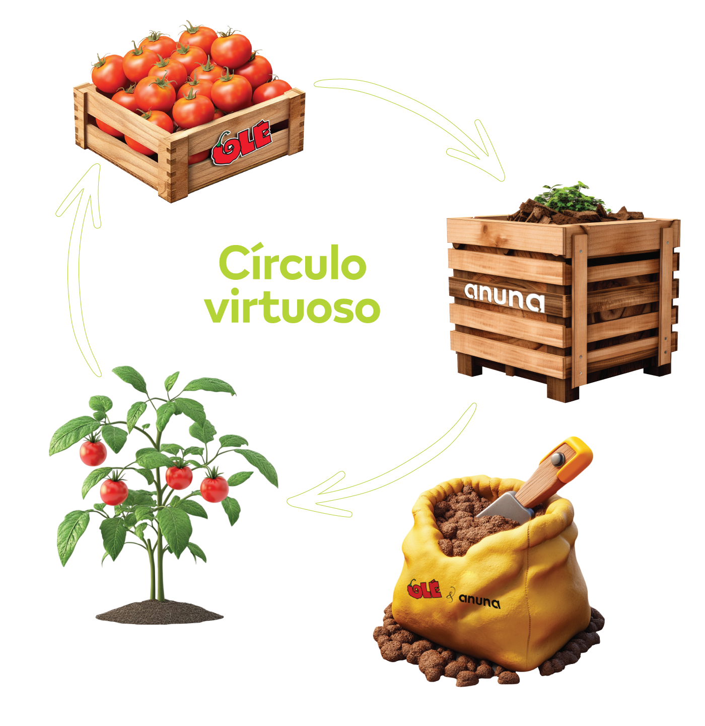 Circulo Virtuoso